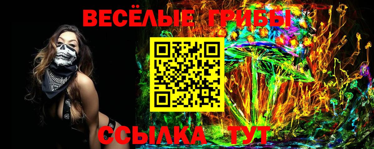 Донской  Галлюциногенные грибы Psilocybe  Галлюциногенные грибы мицелий  Вход с VPN 