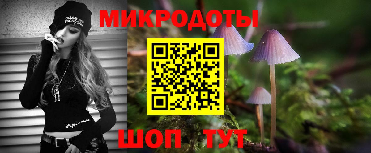Псилоцибиновые грибы мицелий Донской