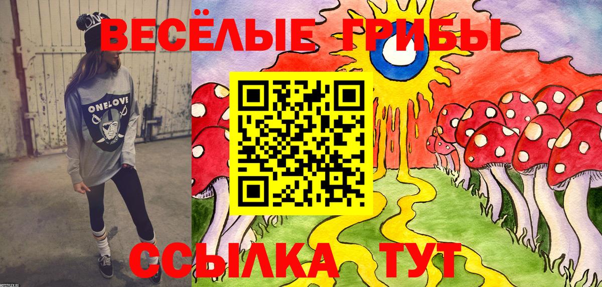 Галлюциногенные грибы Донской